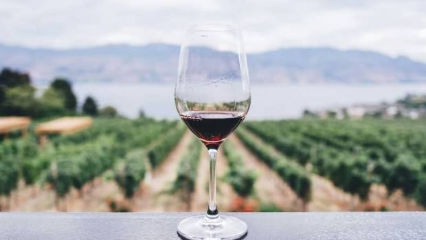 ecotourisme et oenotourisme lalliance gagnante