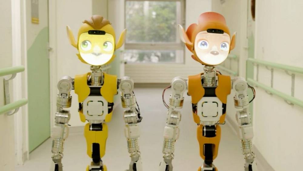 miroki et miroka les robots humanoides made in france