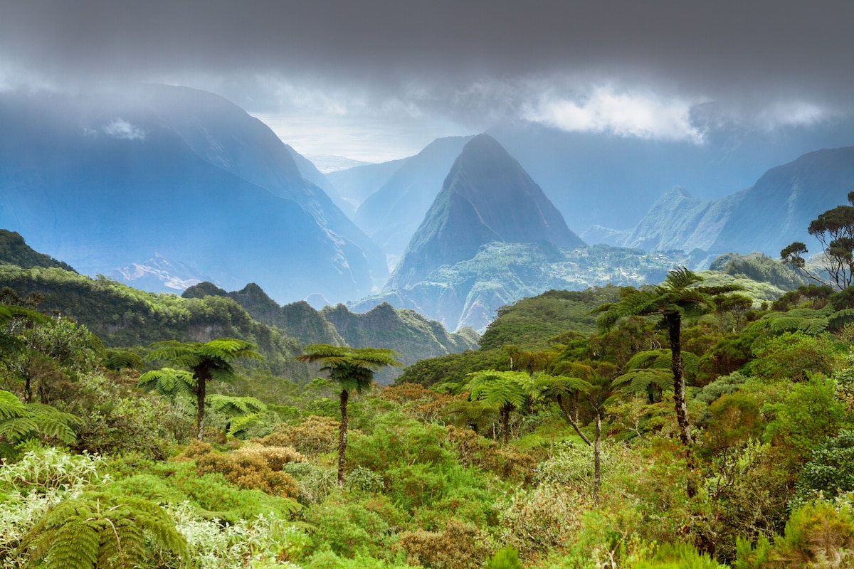 L'île de la Réunion parie sur son dynamisme économique pour combattre la  crise