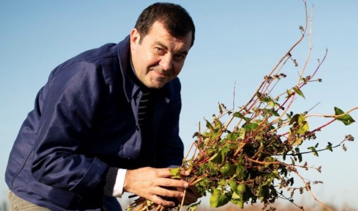 Entreprendre - Bretagne : Bertrand Larcher (Breizh Café), un exceptionnel paysan crêpier fêté dans le monde entier